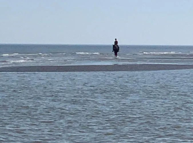Strandwandeling 2 Slaapkamers * Coxyde